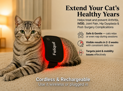 Feliquil - Red Light Therapy Pad for Cats