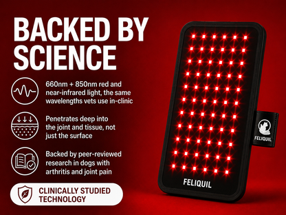 Feliquil - Red Light Therapy Pad for Cats